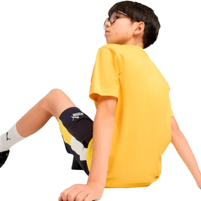 Koszulka Ess 2 Color