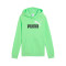 Bluza Puma Kids Essentials 2 Color Logo