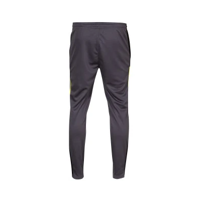 Długie spodnie Individualliga Training Pants