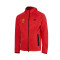 Kurtka Nike RCD Mallorca Sportswear Tech Fleece Windrunner Hoodie