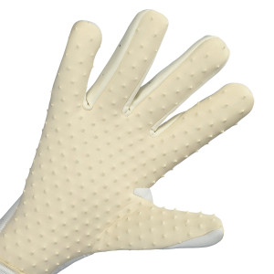 DŁOŃ-1