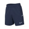 Spodenki Nike Academy 25