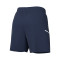 Spodenki Nike Academy 25