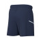 Spodenki Nike Kids' Academy 25