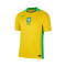 Koszulka Nike Brazylia kobiet Copa América 2025