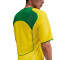 Koszulka Nike Brasil Reissue Special Edition