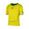Koszulka Nike Brasil Reissue Special Edition