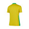 Koszulka Nike Brazylia kobiet Copa América 2025