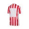 Koszulka Nike Atlético de Madrid dla Kids 2025-2026 dla dzieci
