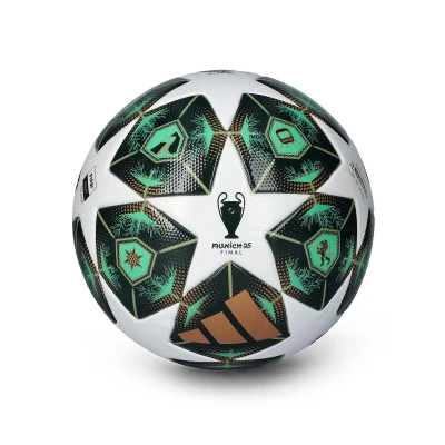 Piłka Liga Mistrzów Liga 2024-2025