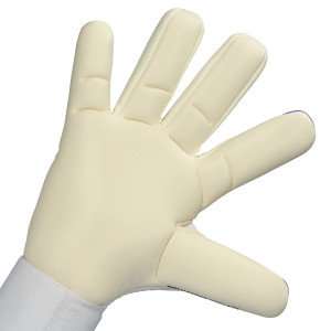 DŁOŃ-1