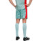 Spodenki Puma Ac Milan 2025-2026 Bramkarz Home