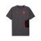 Koszulka Puma Ac Milan Fanswear 2025-2026