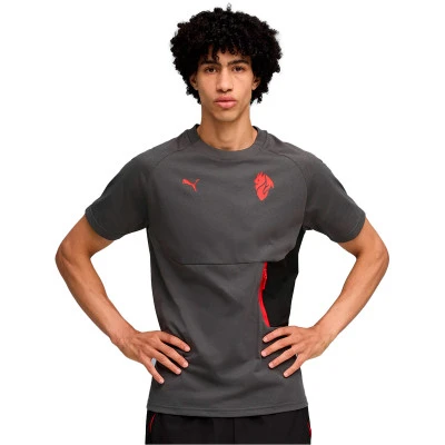 Koszulka Ac Milan Fanswear 2025-2026