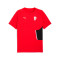 Koszulka Puma Ac Milan 2025-2026 Odzież kibica