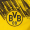 Koszulka Puma Kids BVB Borussia 2025-2026 W domu