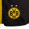 Spodenki Puma Bvb Borussia 2025-2026 Strona główna