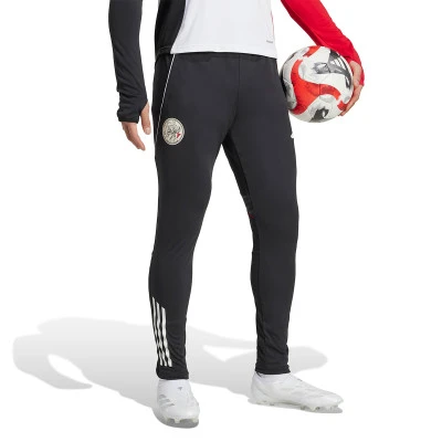 Długie spodnie Trening Ajax 2025-2026