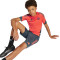 Koszulka adidas Kids FC Bayern 2025-2026 Trening