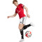 Spodenki adidas Manchester United 2025-2026 W domu