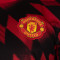 Koszulka adidas Manchester United 2025-2026 Przedmeczowe