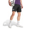 Spodenki adidas Manchester United Trening 2025-2026