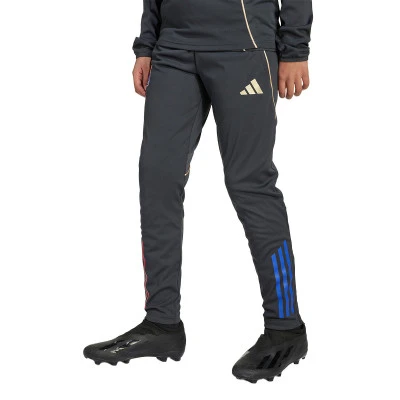 Długie spodnie Kids Olympique Lyon 2025-2026 Trening