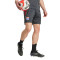 Spodenki adidas Olympique Lyon 2025-2026 Trening