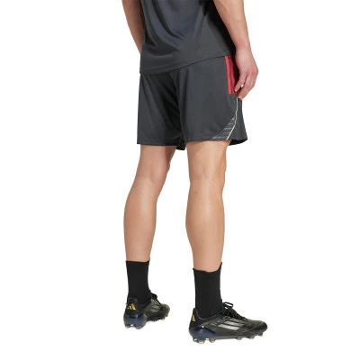 Spodenki Olympique Lyon 2025-2026 Trening