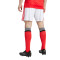 Spodenki adidas SLB Benfica 2025-2026 Strona główna