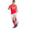 Spodenki adidas SLB Benfica 2025-2026 Strona główna