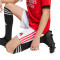 Spodenki adidas Kids SLB Benfica 2025-2026 Home