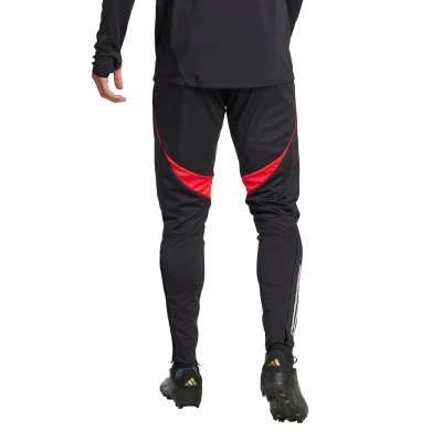 Długie spodnie SLB Benfica 2025-2026 Trening