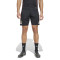 Spodenki adidas SLB Benfica 2025-2026 Trening