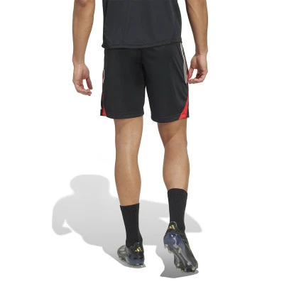 Spodenki SLB Benfica 2025-2026 Trening