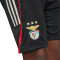 Spodenki adidas Kids Trening SLB Benfica 2025-2026