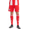 Spodenki adidas FC Bayern 2025-2026 W domu