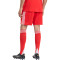 Spodenki adidas FC Bayern 2025-2026 W domu