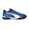 But piłkarski Puma Pressing IV Turf