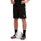 Spodenki Puma Individualliga Training Shorts 2 (Open Pockets)