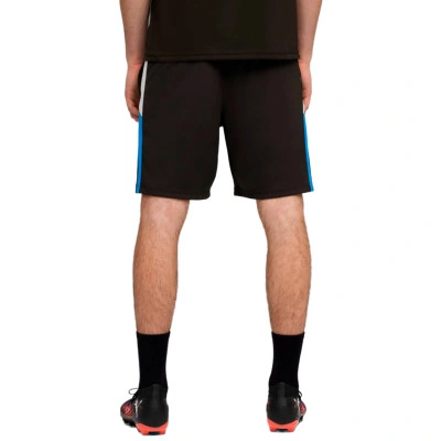 Spodenki Individualliga Training Shorts 2 (Open Pockets)