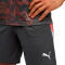 Spodenki Puma Individualliga Training Shorts 2 (Open pockets)