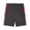 Spodenki Puma Individualliga Training Shorts 2 (Open pockets)