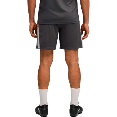Spodenki Individualliga Training Shorts 2 (Open pockets)