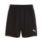 Spodenki Puma Individualliga Training Shorts 2 Jr (Open Pockets)