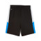 Spodenki Puma Individualliga Training Shorts 2 Jr (Open Pockets)