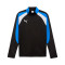 Bluza Puma Individualliga 1/4 Zip Top