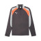 Bluza Puma Individualliga 1/4 Zip Top