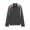 Bluza Puma Individualliga 1/4 Zip Top Niño