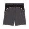 Spodenki Puma Spodenki M Run Velocity 7"